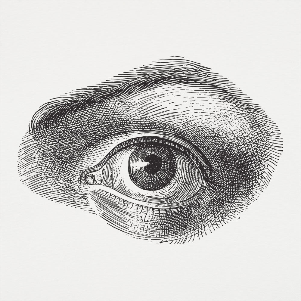 Human Eye - 6DollarShirts