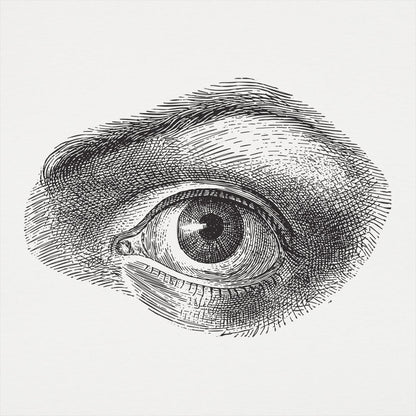 Human Eye - 6DollarShirts