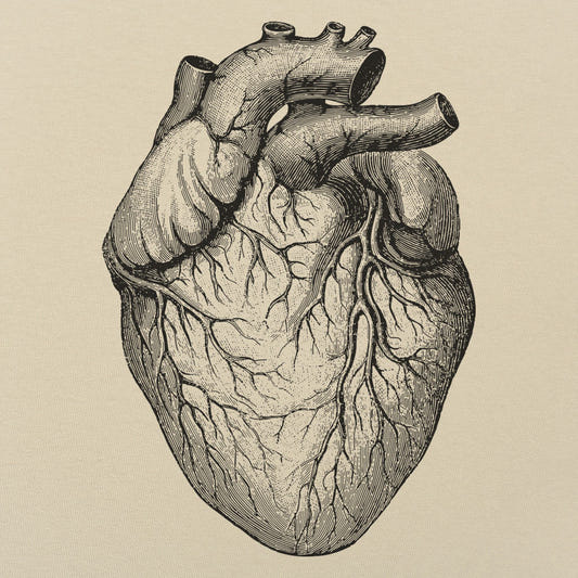 Human Heart - 6DollarShirts