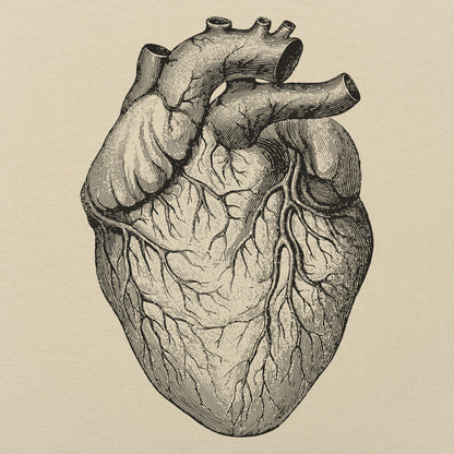 Human Heart - 6DollarShirts