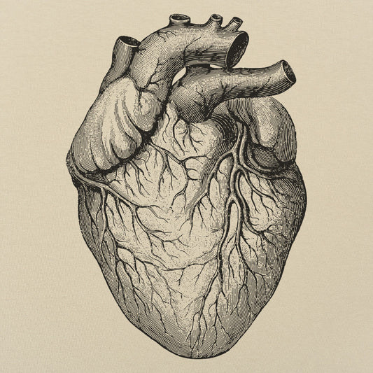 Human Heart - 6DollarShirts