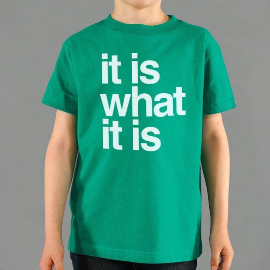 It Is What It Is - 6DollarShirts