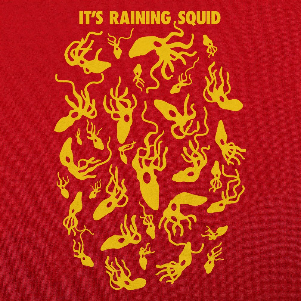 It's Raining Squid - 6DollarShirts