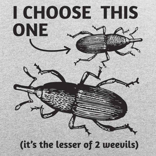 Lesser of 2 Weevils