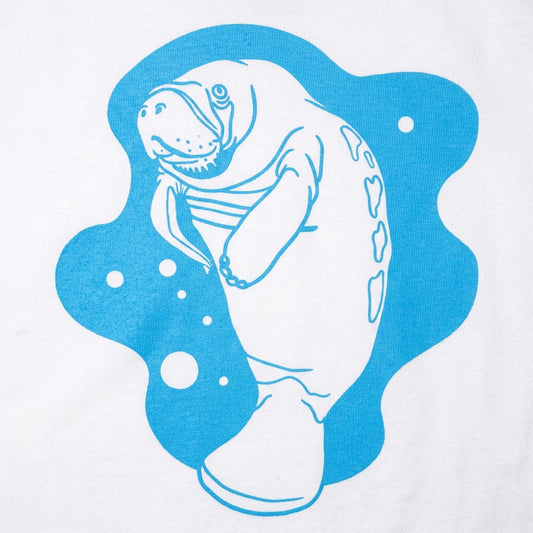Manatee detail
