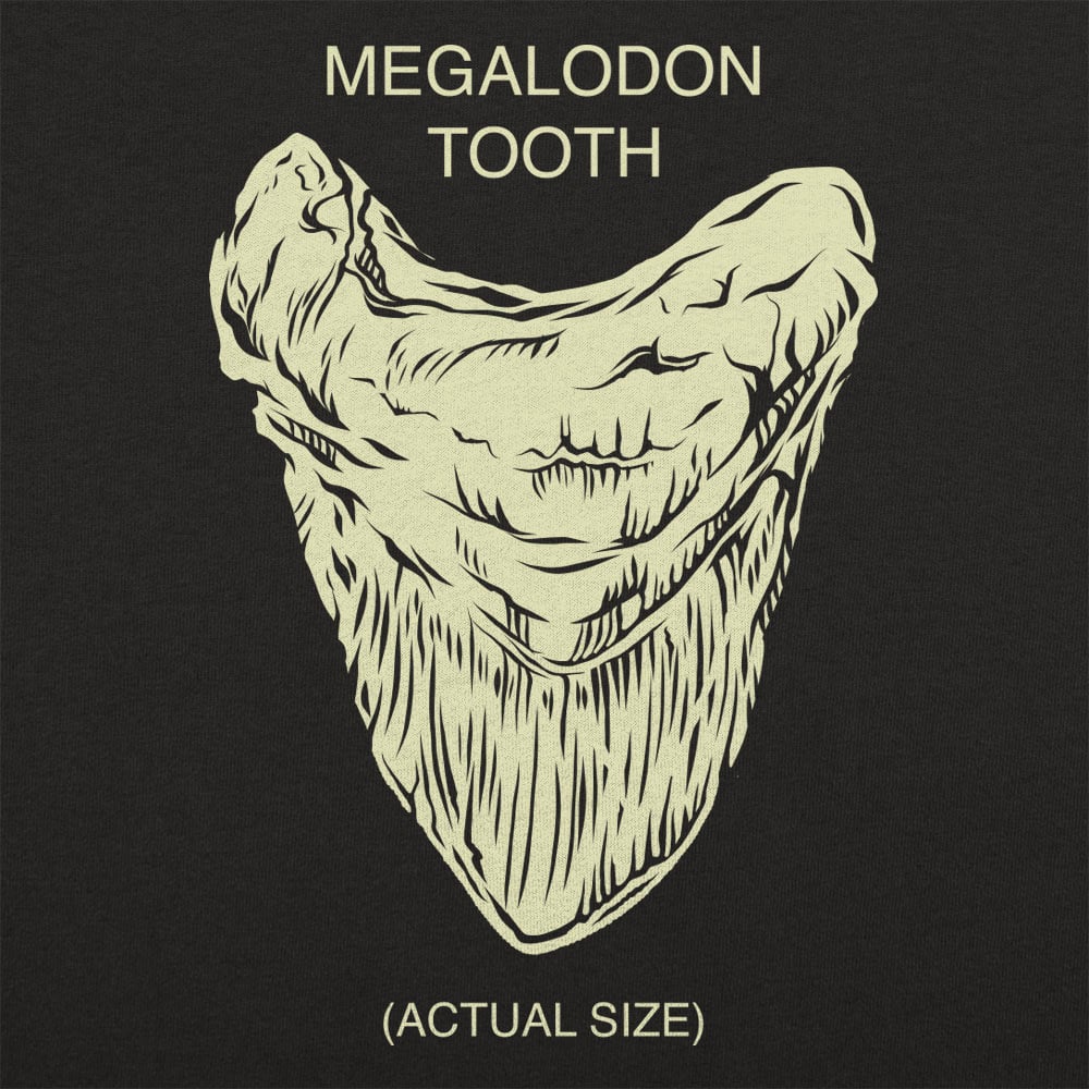Megalodon Tooth - 6DollarShirts