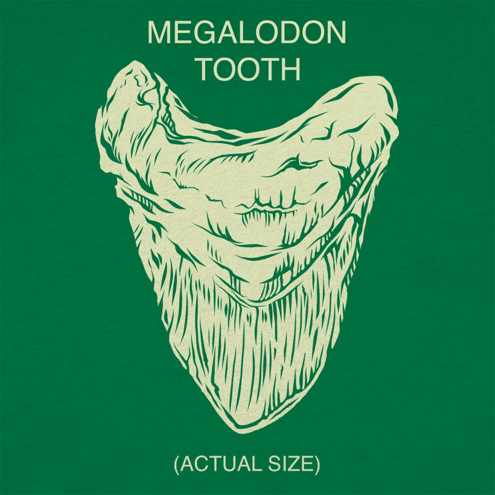 Megalodon Tooth - 6DollarShirts