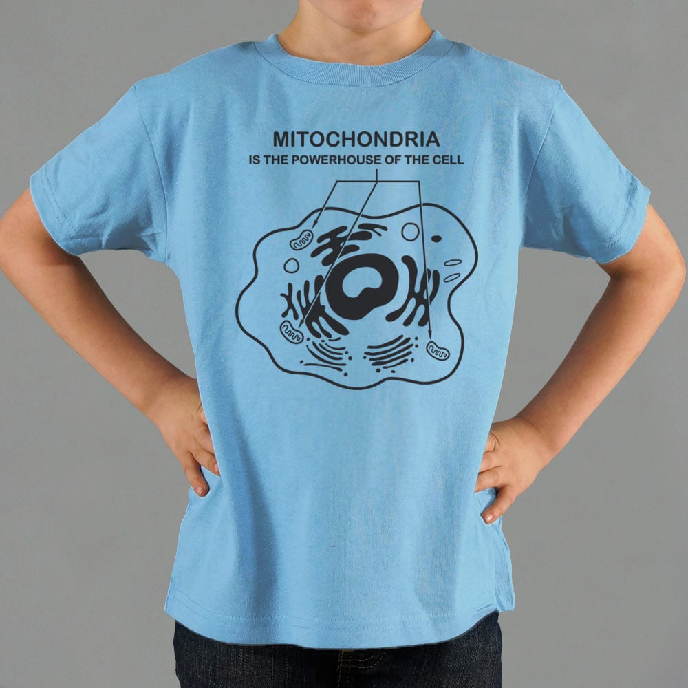 Mitochondria - 6DollarShirts
