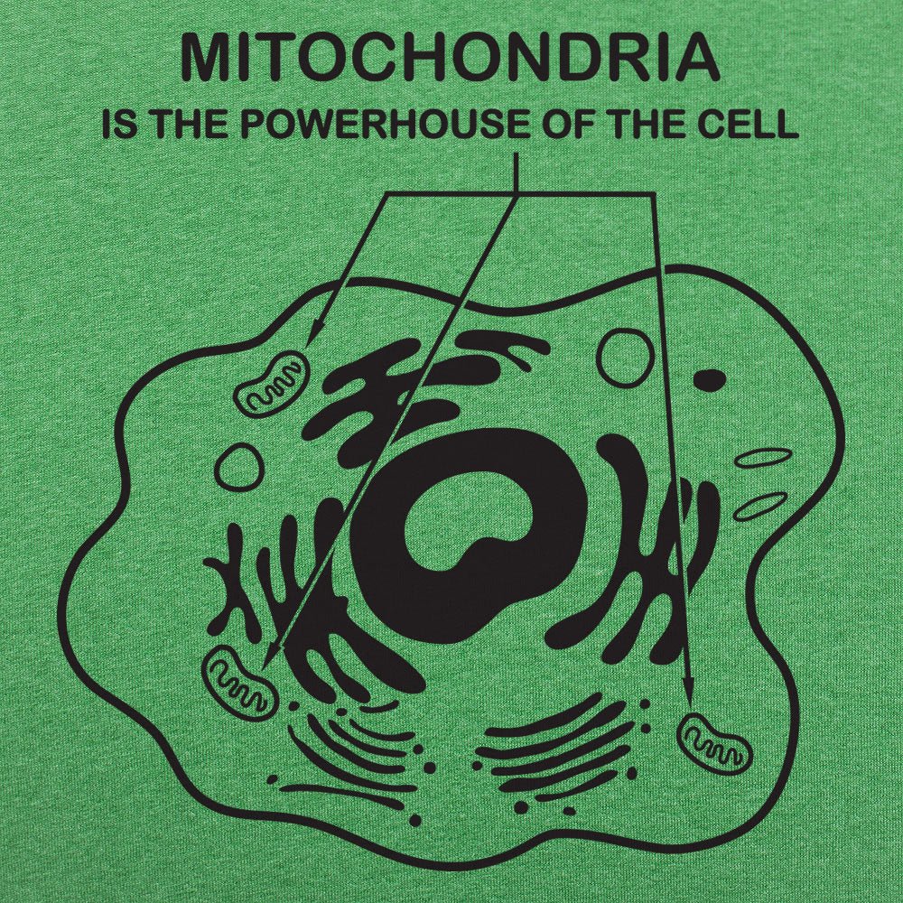 Mitochondria - 6DollarShirts