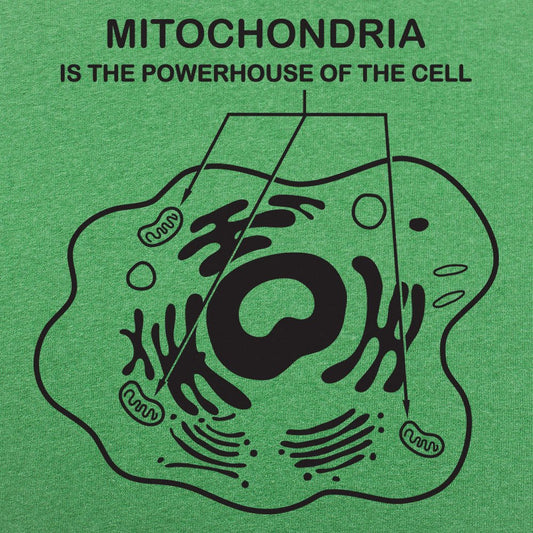 Mitochondria - 6DollarShirts