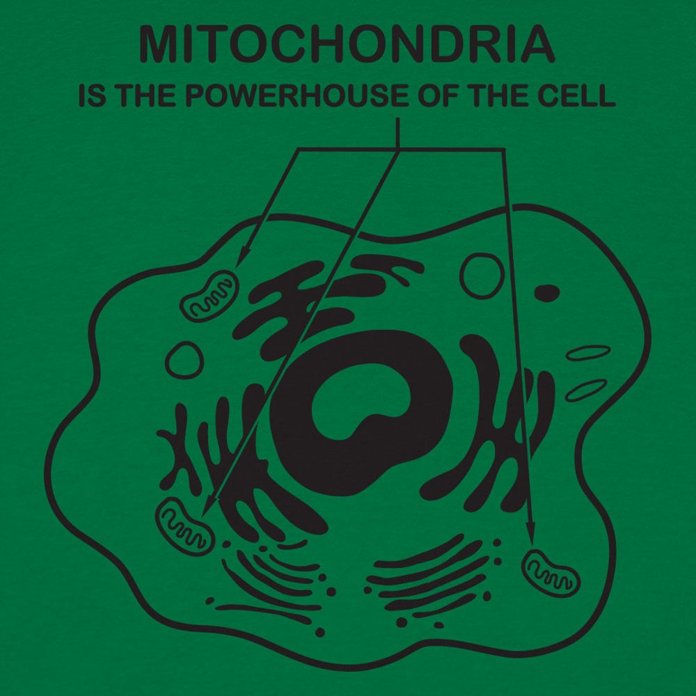 Mitochondria - 6DollarShirts