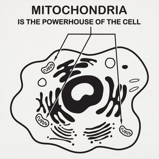 Mitochondria - 6DollarShirts