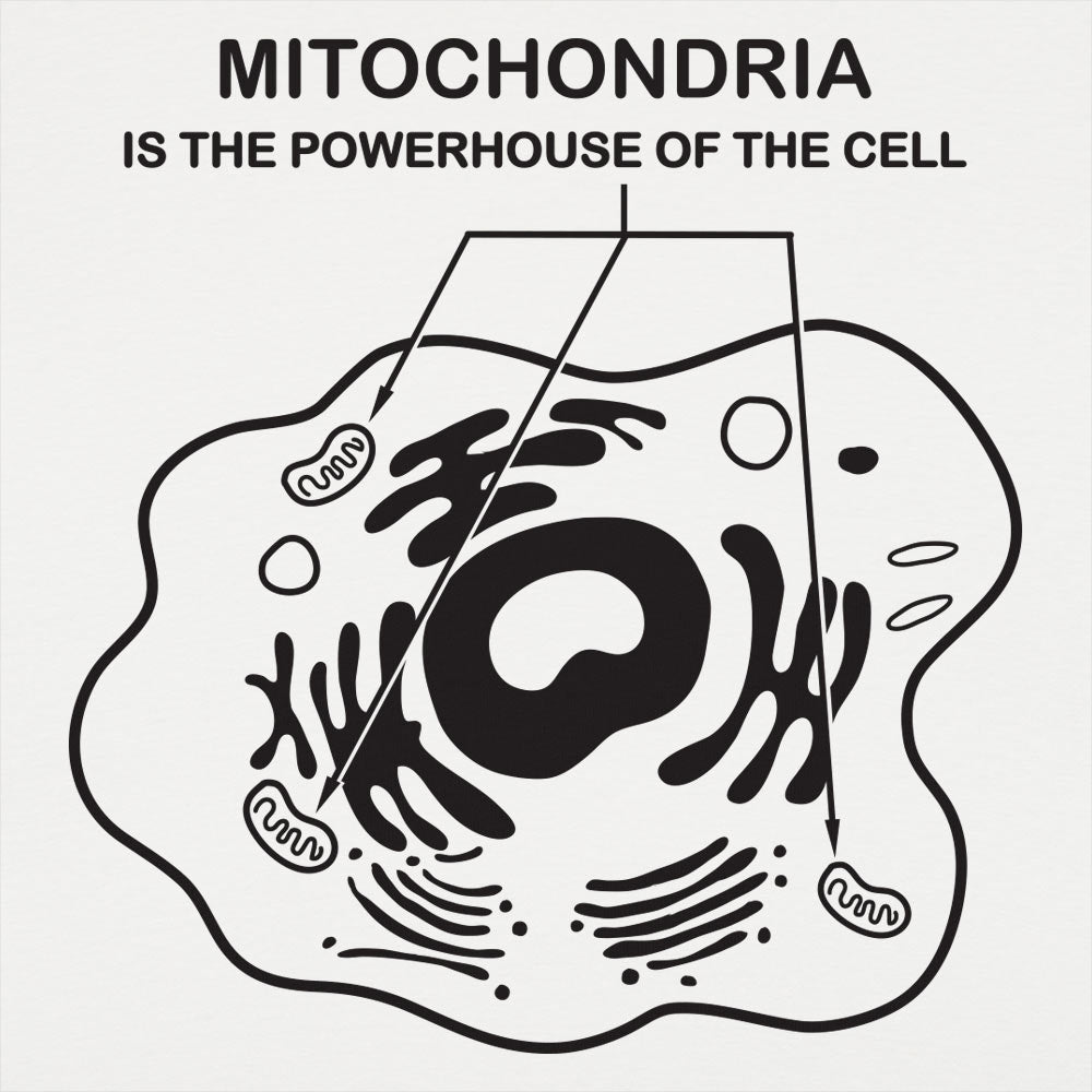 Mitochondria - 6DollarShirts