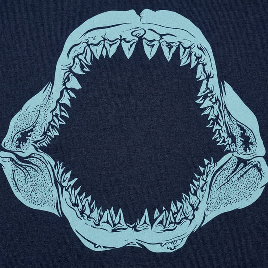 Mouth Of The Megalodon detail