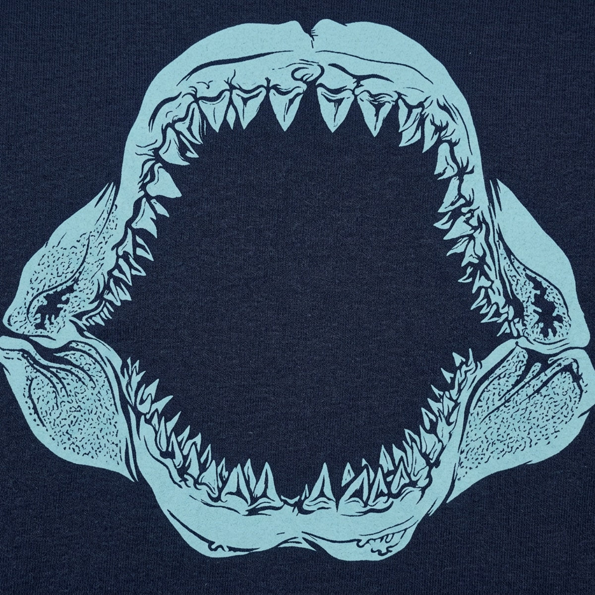 Mouth Of The Megalodon detail