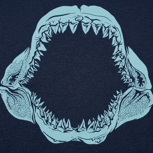 Mouth Of The Megalodon detail