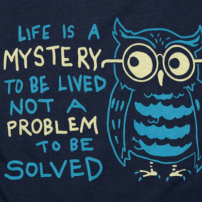 Mystery Owl detail