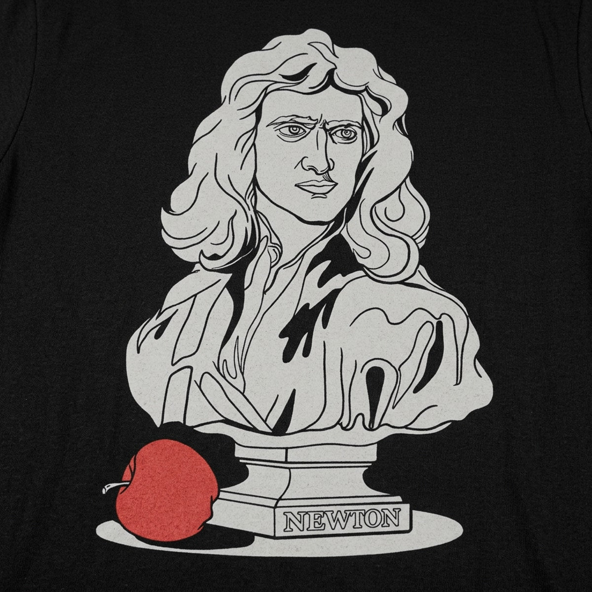 Newton detail