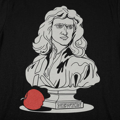 Newton detail