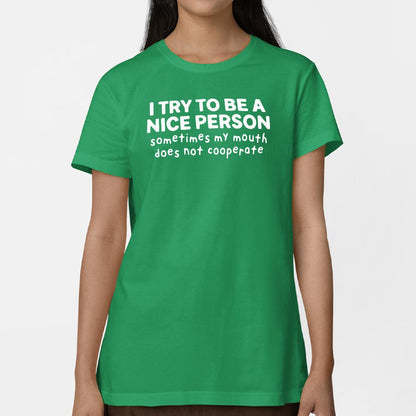 Nice Person - 6DollarShirts