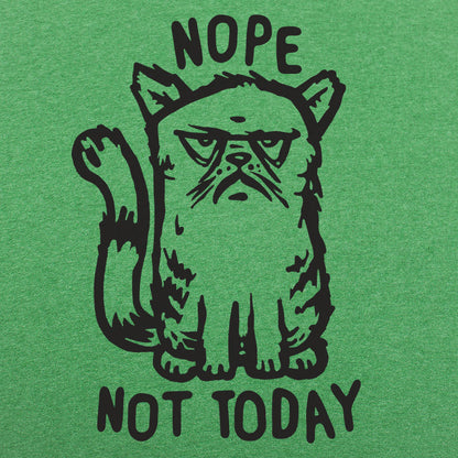 Nope Cat Not Today, Grumpy Cat Saying No