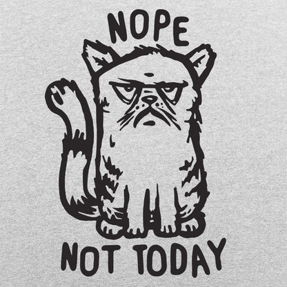 Nope Cat Not Today, Grumpy Cat Saying No