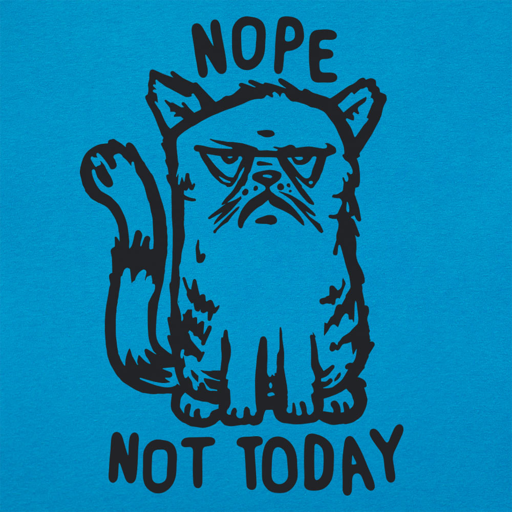 Nope Cat