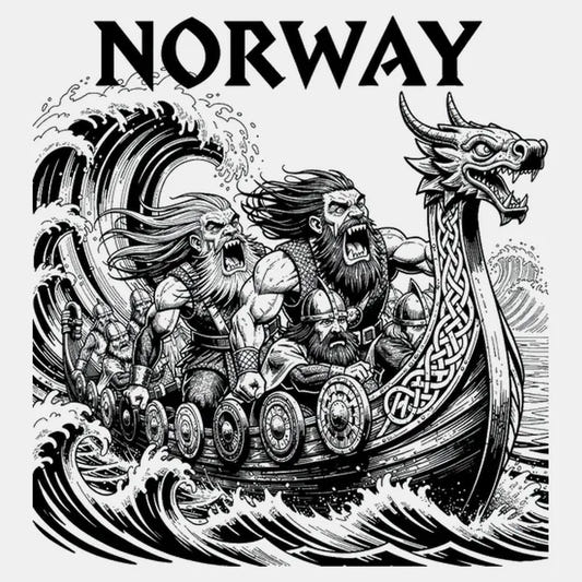 NORWAY Viking Warriors on the Sea graphic tee design