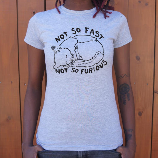 Not So Fast Not So Furious Sleeping Cat graphic Women's T-Shirt in Gray Granite