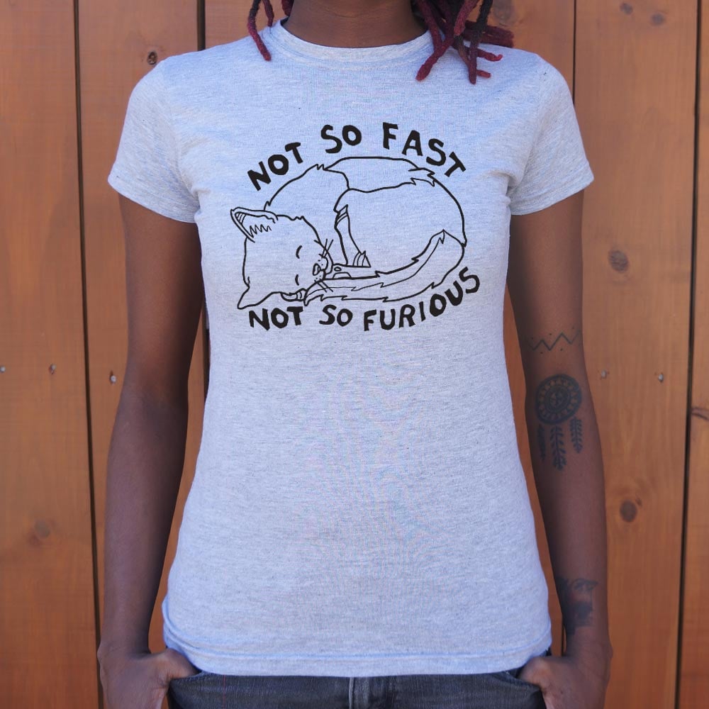 Not So Fast &amp Furious
