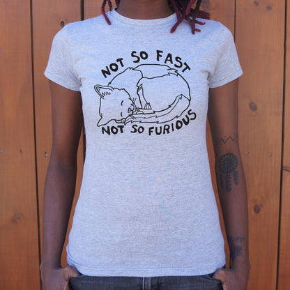 Not So Fast Not So Furious Sleeping Cat