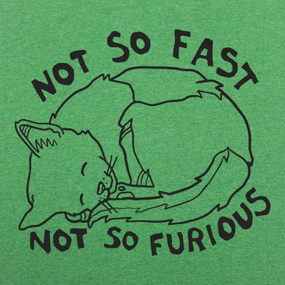 Not So Fast Not So Furious Sleeping Cat
