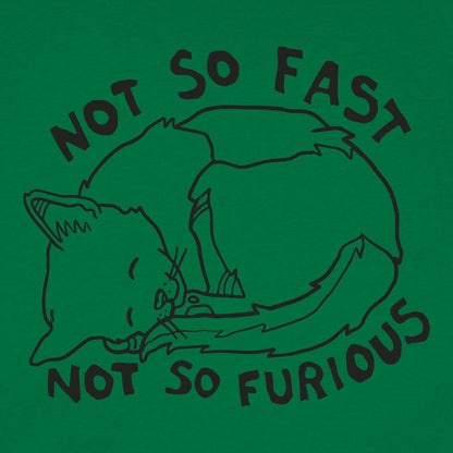Not So Fast Not So Furious Sleeping Cat