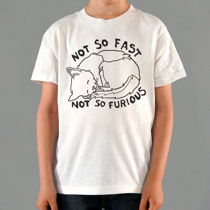 Not So Fast Not So Furious Sleeping Cat