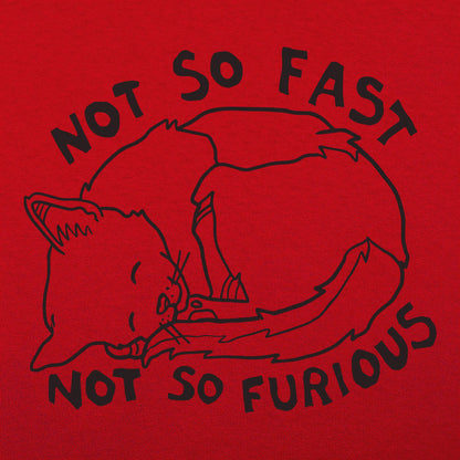 Not So Fast Not So Furious Sleeping Cat