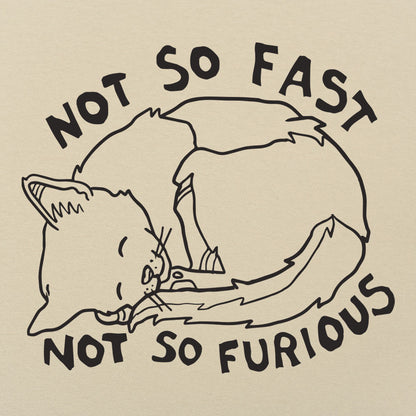 Not So Fast Not So Furious Sleeping Cat