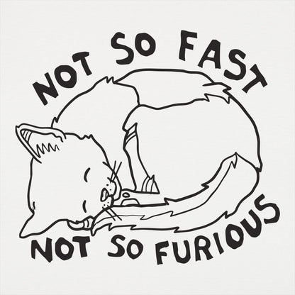 Not So Fast Not So Furious Sleeping Cat