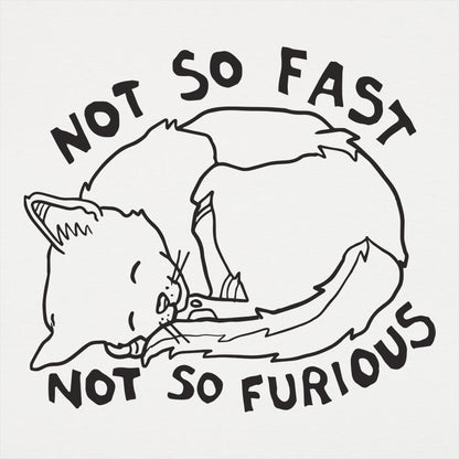 Not So Fast Not So Furious Sleeping Cat