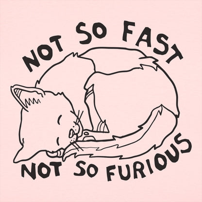 Not So Fast Not So Furious Sleeping Cat