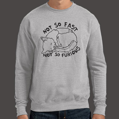 Not So Fast Not So Furious Sleeping Cat