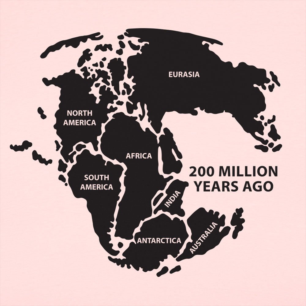 Pangea - 6DollarShirts