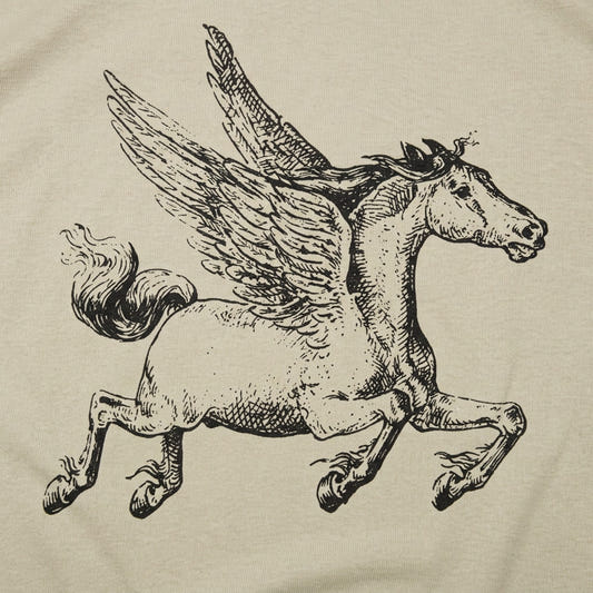 Pegasus detail