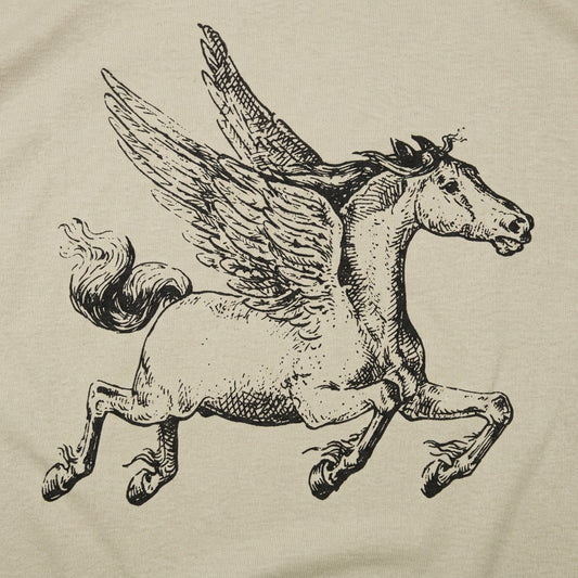 Pegasus detail