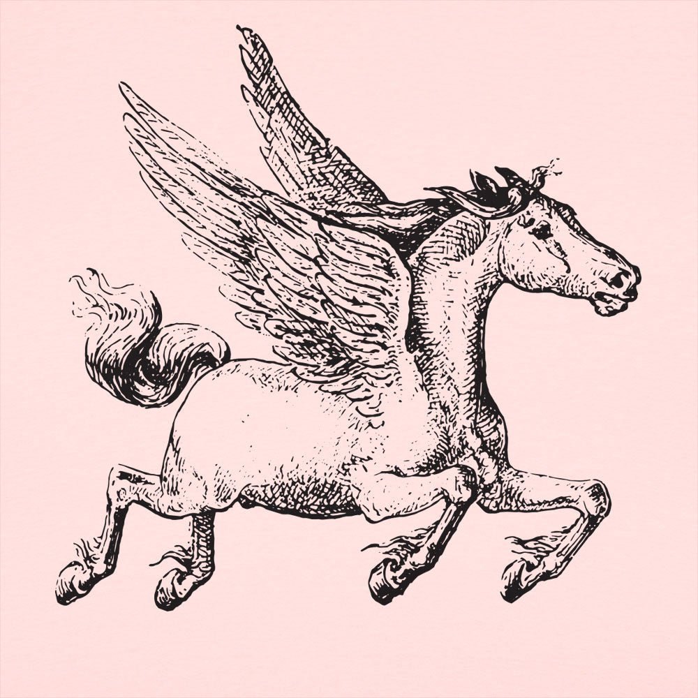 Pegasus - 6DollarShirts