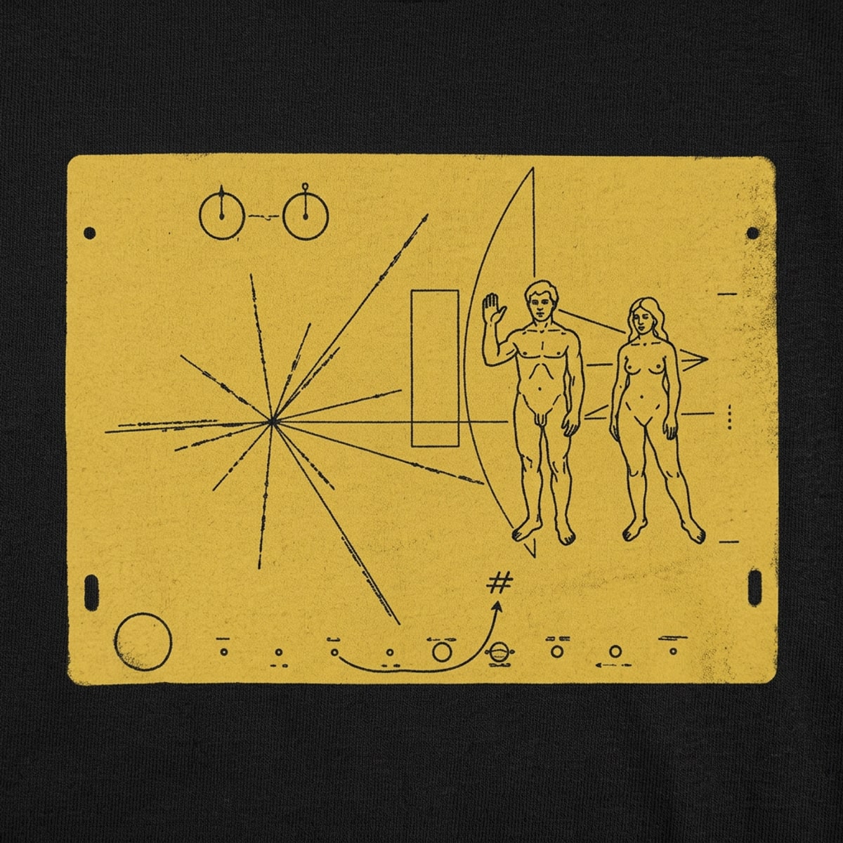 Pioneer Plaque detail