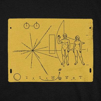 Pioneer Plaque detail
