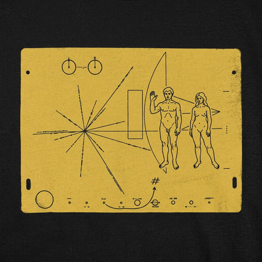 Pioneer Plaque detail