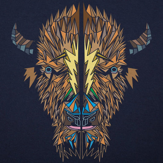 Polygon Bison Full Color - 6DollarShirts