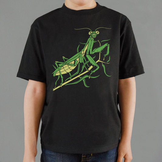 Praying Mantis - 6DollarShirts