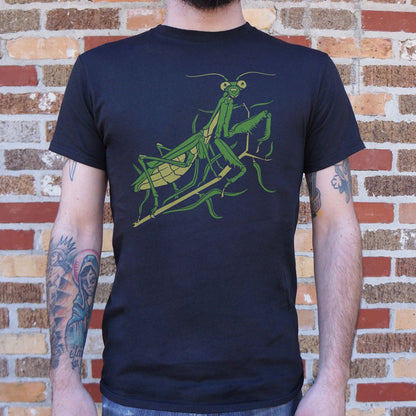 Praying Mantis - 6DollarShirts